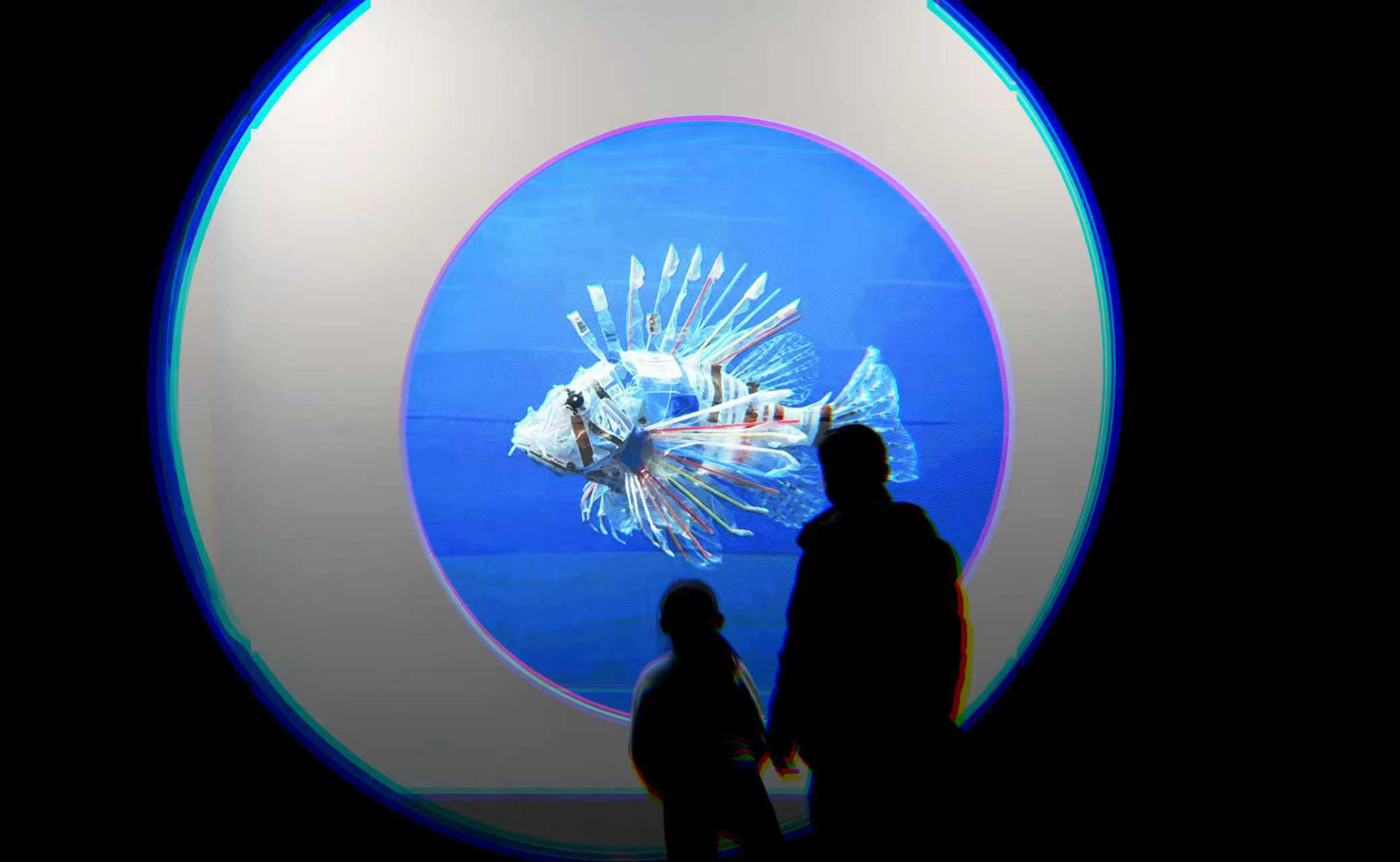 一场展览走进海洋演化的“十二时辰”